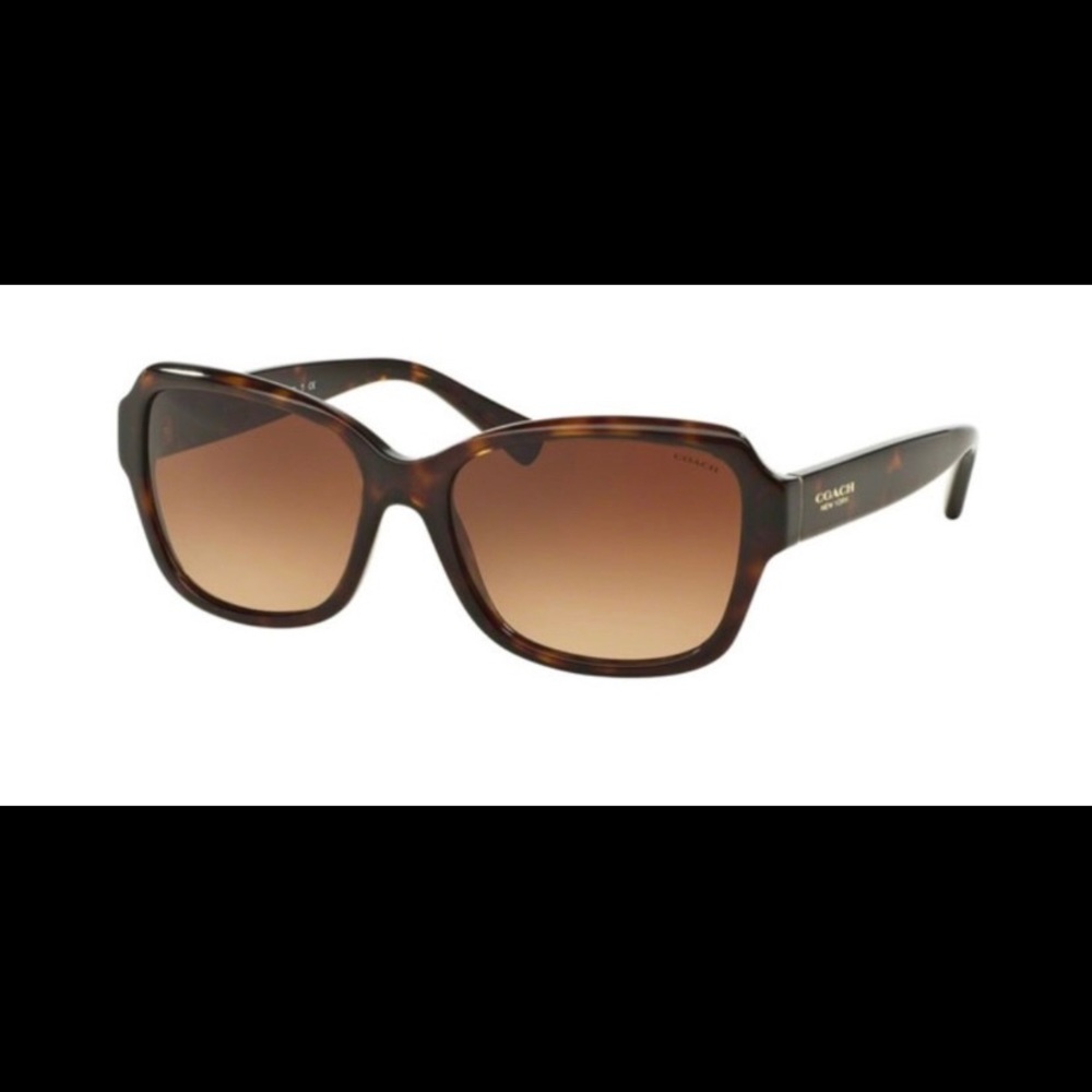 Coach HC8160F Sunglasses